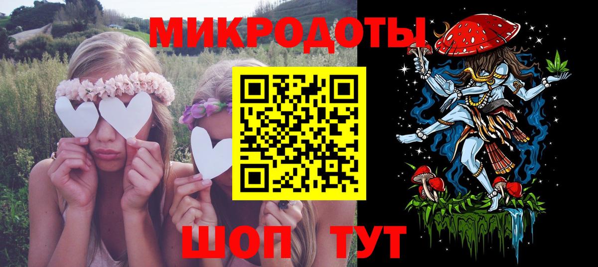 Псилоцибиновые грибы Psilocybe Елизово
