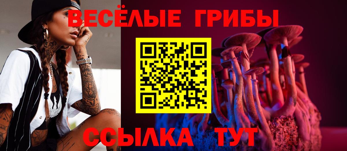 Елизово  Галлюциногенные грибы мухоморы  Вход с VPN 